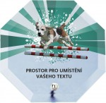 trofej CRP2M24 sada, A- C