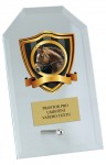 skleněná trofej CRP4M20 sada, A-C