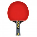 pálka na stolní tenis carbon pro, 54195