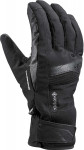 zimní rukavice SHIELD 3D GTX, 650805301