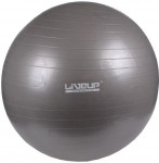 gymnastický míč Anti-burst 75 cm, 3222-75