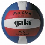 dětský míč volejbal Training Mini 4051S, 3395K