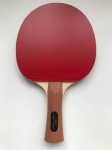 pálka na stolní tenis Profi + Sriver L