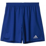 junior fotbal trenky PARMA 16 shorts, AJ5882, doprodej