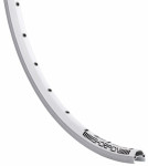 ráfek Skorpion 622x19 36d. stříbrný, 20584