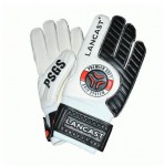 brankářské rukavice Premier