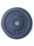 fitness kotouč černý 5 kg, pr. 31 mm, 1 ks