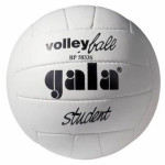 volejbal míč STUDENT BP 5033 S, 3698