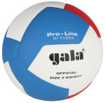 míč na volejbal Pro Line BV 5125S, 4415