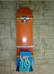 skateboard RADICAL RIDER, 115