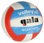 volejbalový míč SCHOOL 5511 S