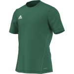 dres COREF Training Jersey, green/white, S22395