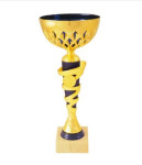 sportovní pohár PE229, 1. až 4. místo