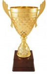 sportovní luxusní pohár PL140, 18cm