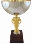 sportovní luxusní pohár LT007, 1ks, 22cm