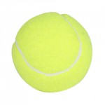 tenisový míč TRAINER, 1 ks, 221