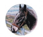 logotyp barevný LT 039