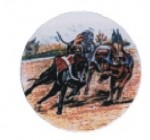 logotyp barevný LT 040