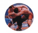logotyp barevný LT 046