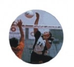 logotyp barevný LT 051