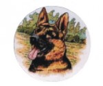 logotyp barevný LT 054