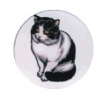 Logotyp barevný LT 055