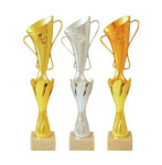 sportovní poháry PE061, 1. až 3. místo