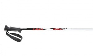 Leki juniorské sjezdové hole Speed Lite, doprodej