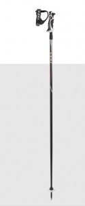 Leki sjezdové hole HOT SHOT S, 6436747, doprodej