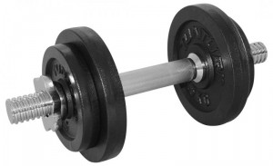 Sedco nakládací jednoručky - ČINKY, 2x 18 kg, pr. 30 mm, pár