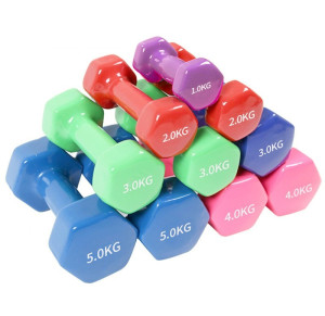 Sedco jednoruční činka Vinyl, 5kg, 1 ks, DB302