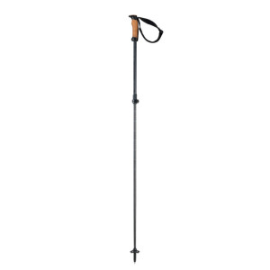 Elan nastavitelné sjezd hole VOYAGER ROD, pár, doprodej