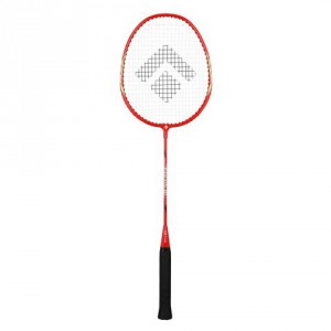 Artis badminton raketa Focus 10, 15211