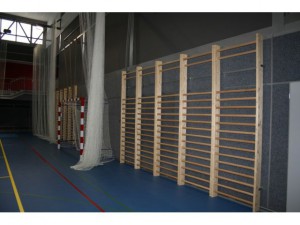 Sport Club tělocvičná ŽEBŘINA, 290x95 cm, 16 příček, 1 ks