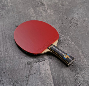 Butterfly pálka na stolní tenis Zhang Jike ALC + Tenergy 05
