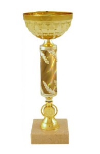 Garko sportovní pohár PE0103, 1. až 5. místo