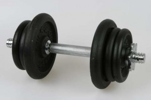  činka přikládací, jednoruční, 11 kg, 14062