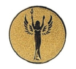 Bauer logotyp kovový LTK0003