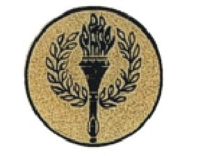 Bauer logotyp kovový LTK0004