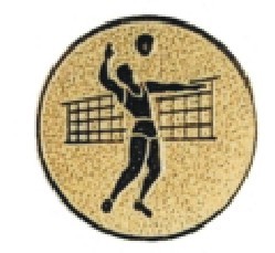 Bauer logotyp kovový LTK0019