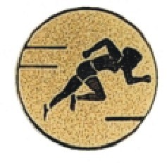Bauer logotyp kovový LTK 026