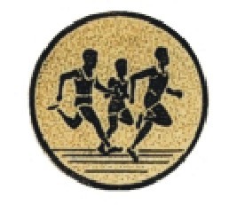 Bauer logotyp kovový LTK 027
