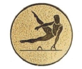 Bauer logotyp kovový LTK 043