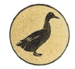 Bauer logotyp kovový LTK 052