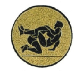 Bauer logotyp kovový LTK 080