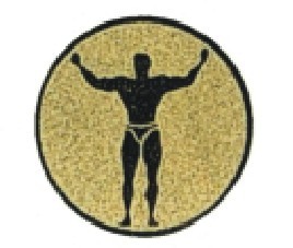 Bauer kovový logotyp LTK 081 - posilování, pr. 2,5 cm