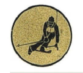 Bauer logotyp kovový LTK 095