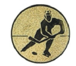 Bauer logotyp kovový LTK 099