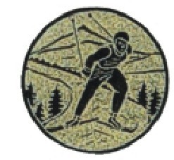 Bauer logotyp kovový LTK 118