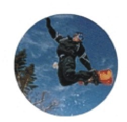 Bauer logotyp barevný LT 003
